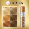 KISS Temporary Hair Color Spray Hair Dye Spray Hair Styling Spray One Day Instant Fast-Drying Washable Halloween Party DIY Cosplay Hair Accessories (Gold)(Blonde)