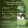 Red by Kiss Color Change Shampoo – Permanent Hair Color with 100% Gray Coverage, Quick 7-10 Minute Formula, No Tools Needed, Herbal Extracts, Includes 3 Shampoo Pouches(Jet Black)