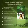 Red by Kiss Color Change Shampoo – Permanent Hair Color with 100% Gray Coverage, Quick 7-10 Minute Formula, No Tools Needed, Herbal Extracts, Includes 3 Shampoo Pouches(Light Brown)