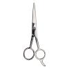 Red Premium 100% Stainless Steel Hair Thinning Shear (Premium, 6.5″ Thinning Shear) Razor Sharp Blade, Comfort Grip with Finger Rest(Premium)